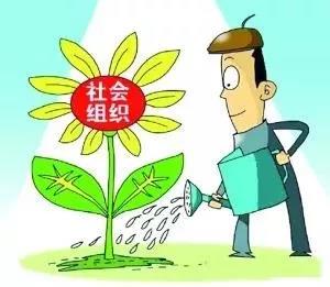 社会组织培育服务